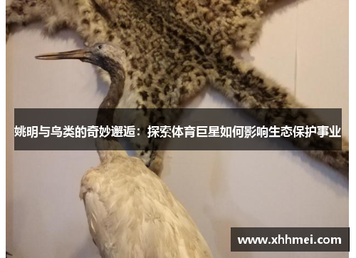 姚明与鸟类的奇妙邂逅：探索体育巨星如何影响生态保护事业